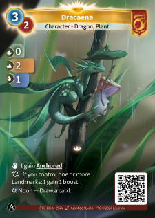 Dracaena