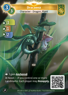Dracaena