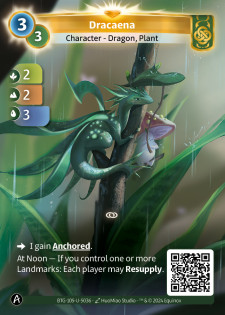 Dracaena