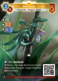 Dracaena