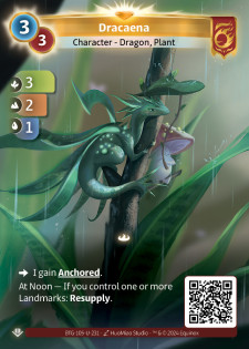 Dracaena