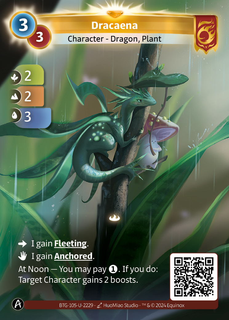Dracaena