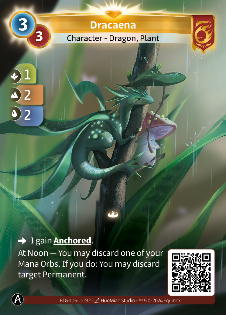 Dracaena