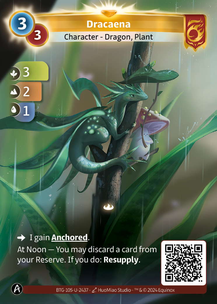 Dracaena