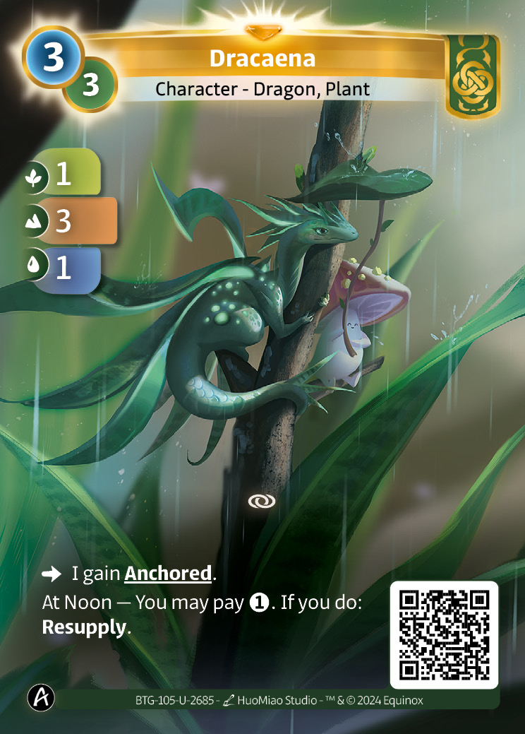 Dracaena