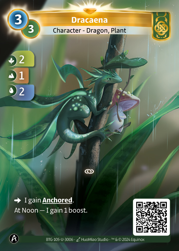Dracaena