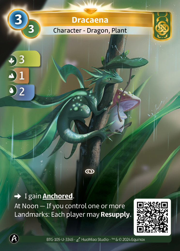 Dracaena