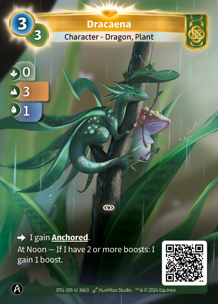 Dracaena