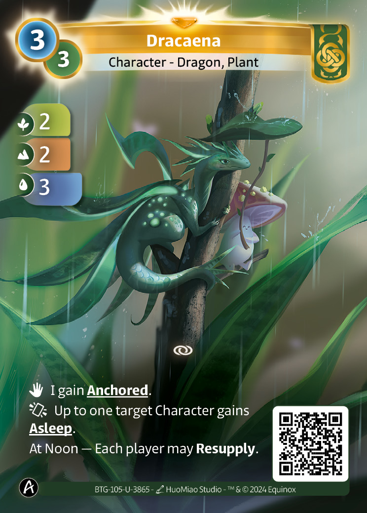 Dracaena