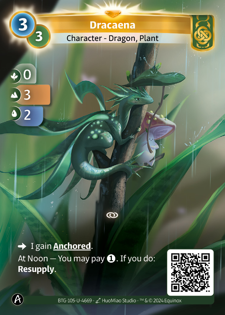 Dracaena