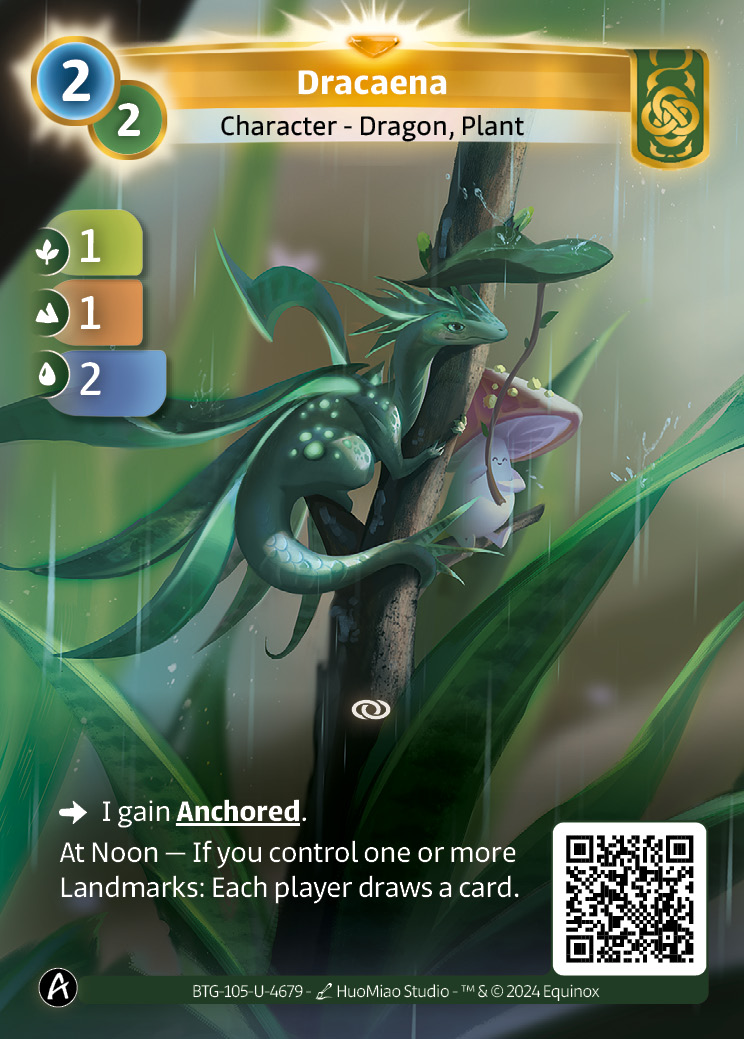 Dracaena