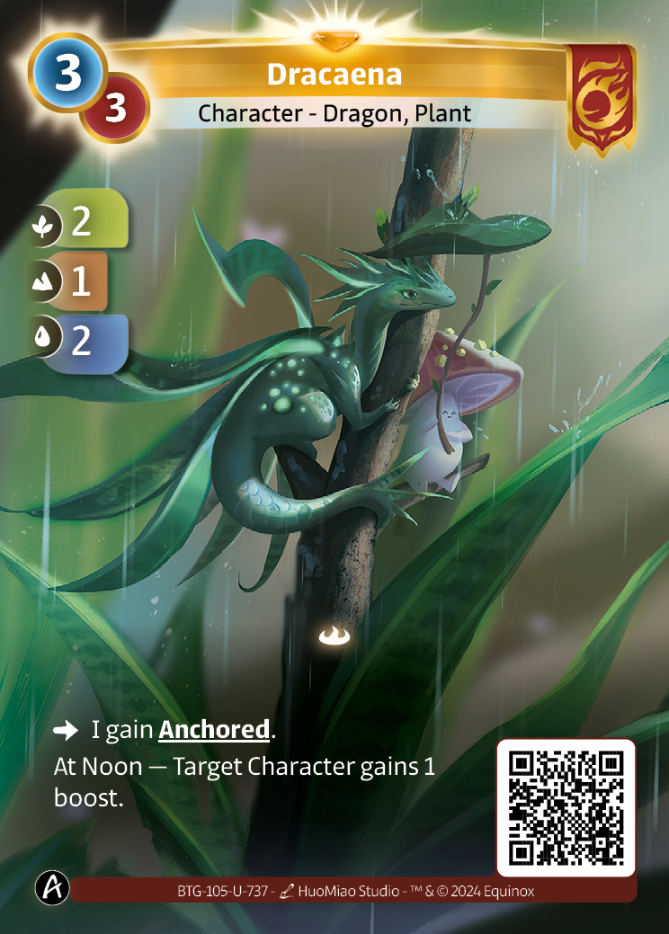 Dracaena