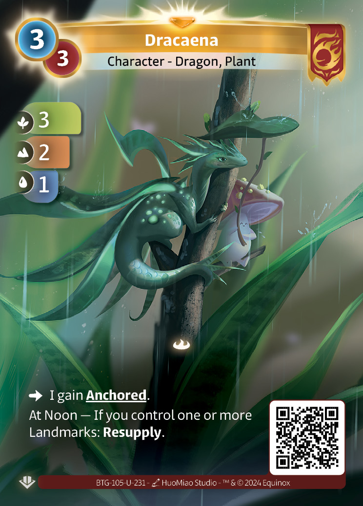 Dracaena