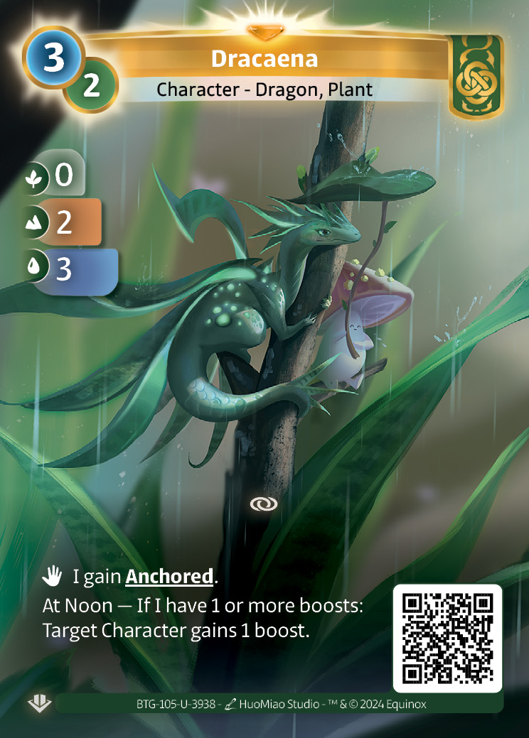 Dracaena