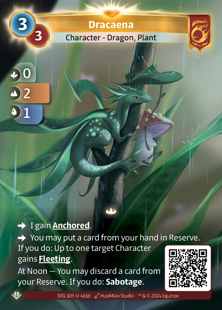 Dracaena