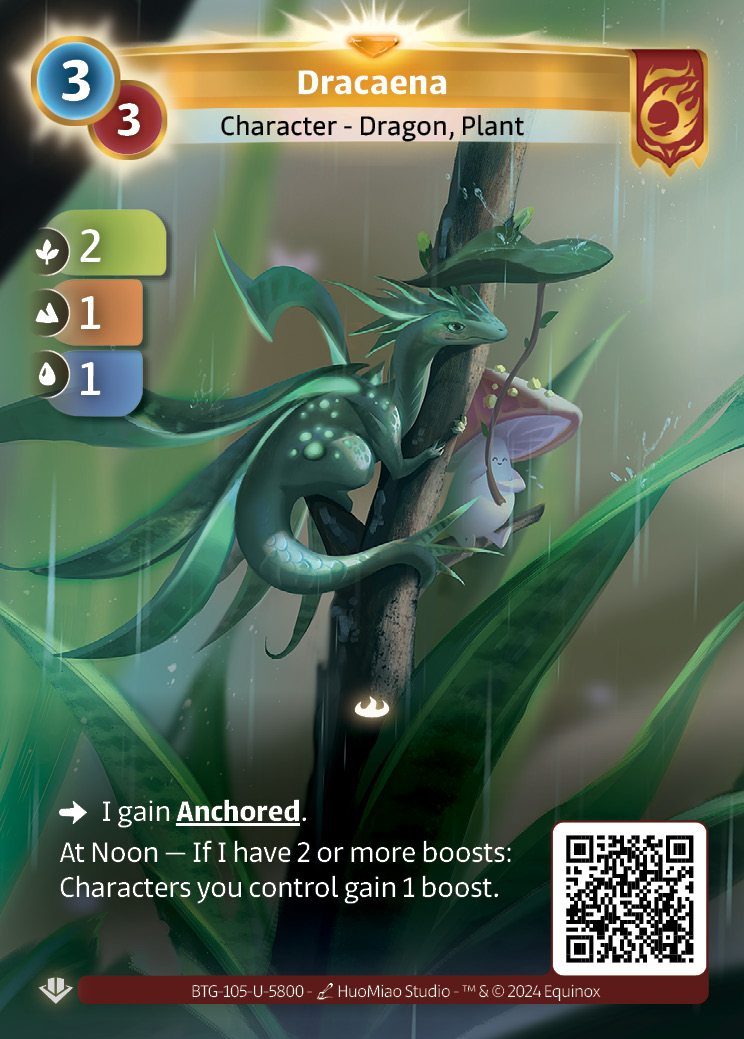 Dracaena