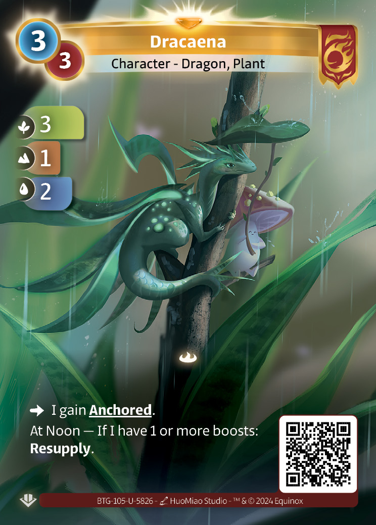 Dracaena