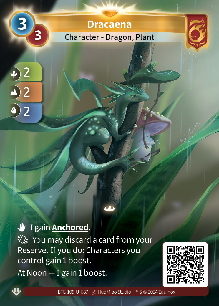 Dracaena